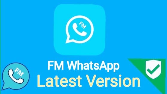 FM Whatsapp Apk download 2023 new version 